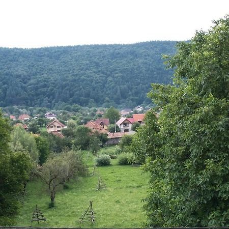 Pensiunea Floricel Stoeneşti Εξωτερικό φωτογραφία