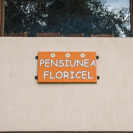 Pensiunea Floricel Stoeneşti Εξωτερικό φωτογραφία