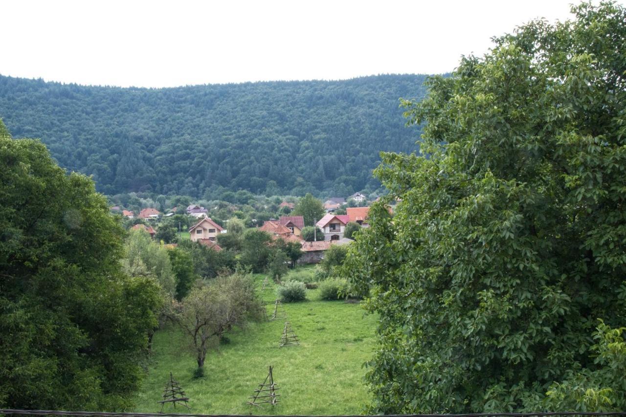 Pensiunea Floricel Stoeneşti Εξωτερικό φωτογραφία