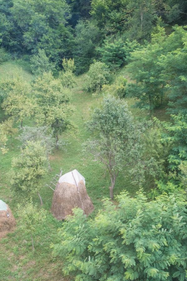 Pensiunea Floricel Stoeneşti Εξωτερικό φωτογραφία